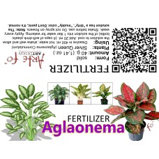 Aglaonema - Fertilizer